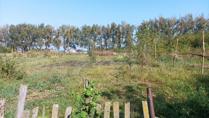 Дом 24,5 м² на участке 19 сот.