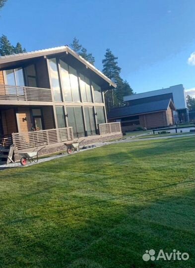 Рулонный газон