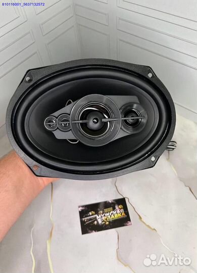 Автоколонки Pioneer TS-A6995 1800W 15x23 см