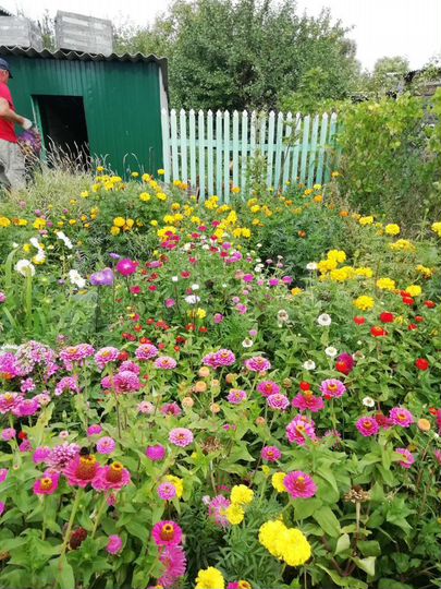 Дом 50,3 м² на участке 10 сот.