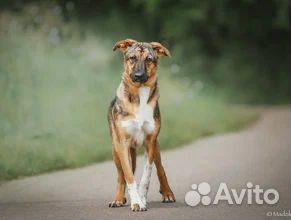 Кто потерял своего Ангела