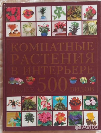 Книга о растениях Мэтью Биггз