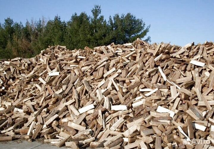 Дрова березовые