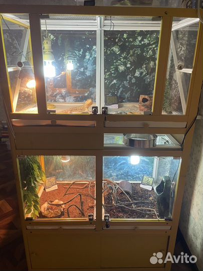 Террариум для рептилий