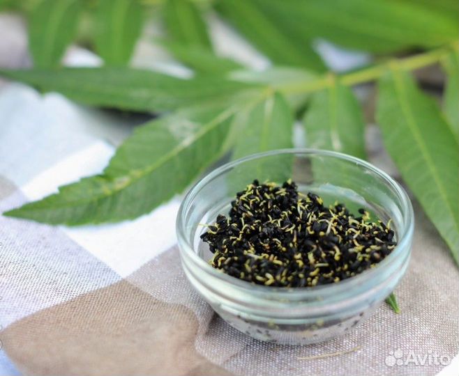 Семена для микрозелени