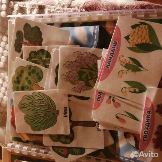 Лэпбук окружающий мир