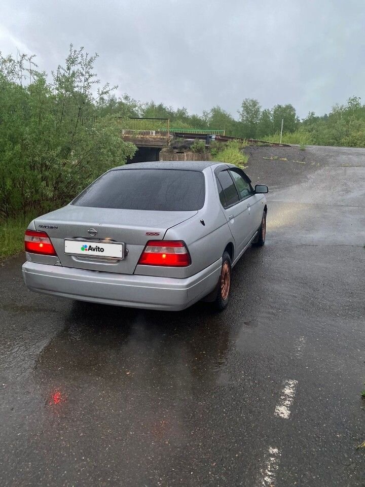 Nissan Bluebird: фото из отзыва