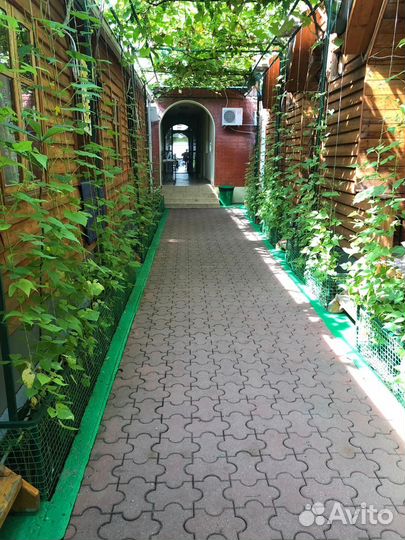 Автобусный тур в Лазаревское из Казани