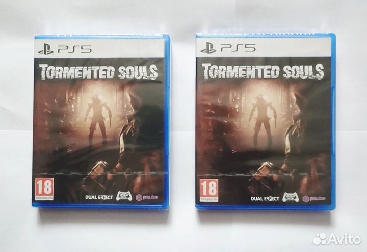 Tormented Souls (PS5) Новые Русская версия