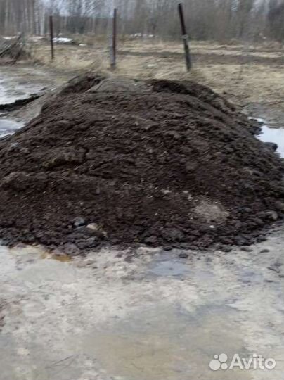 Перегной коровяк, торф, навоз, грунт