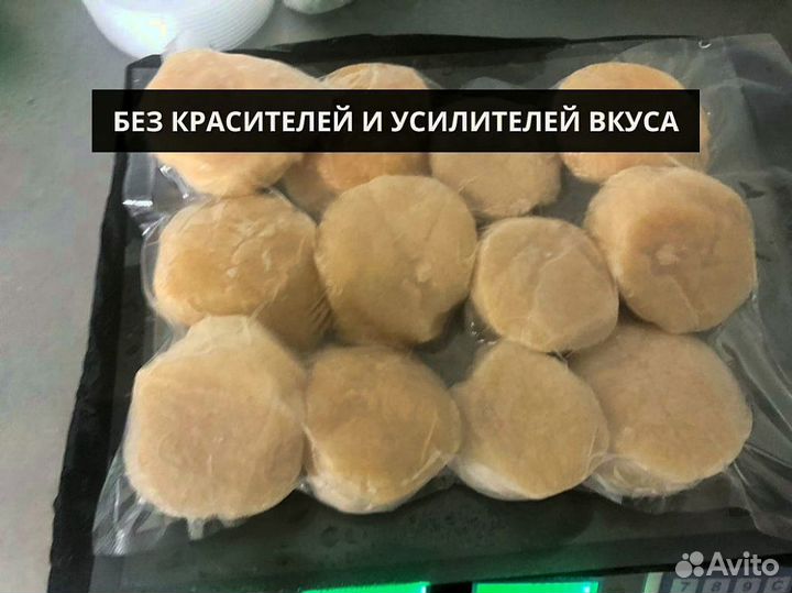 Морской гребешок