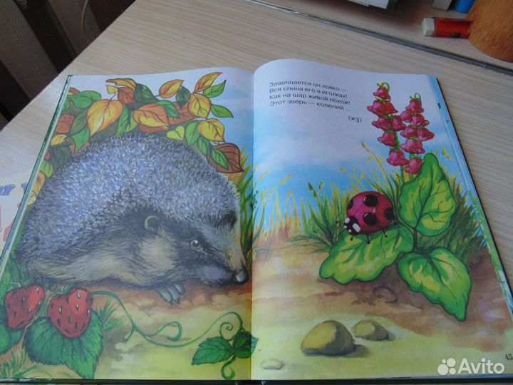 Детские книги с загадками