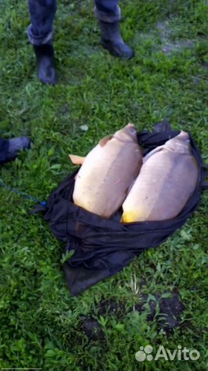 Монастырские Озёра рыбалка и отдых