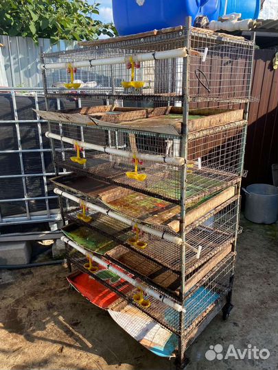 Перепелиная клетка