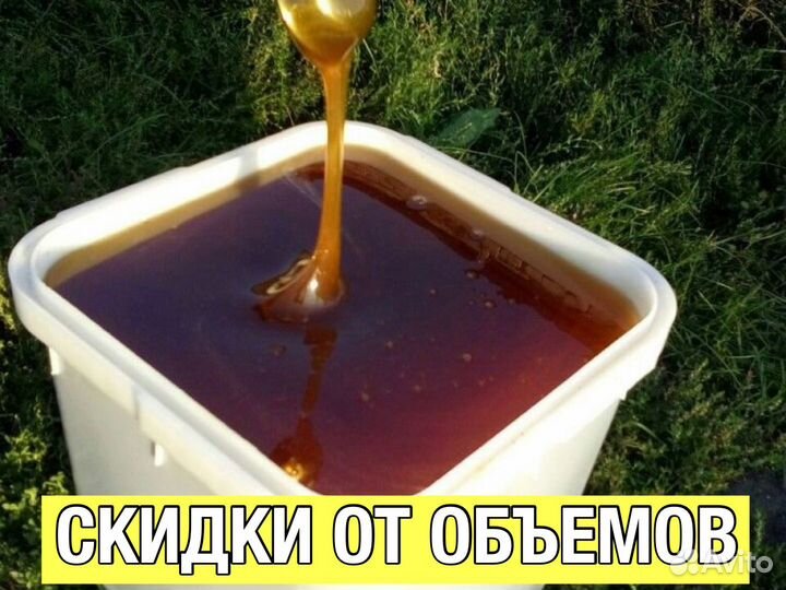 Фермерский мёд оптом с Алтая