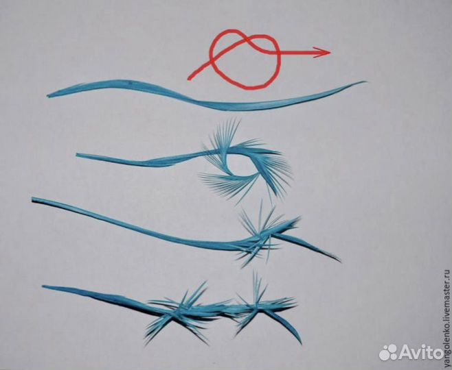 Перья биоты