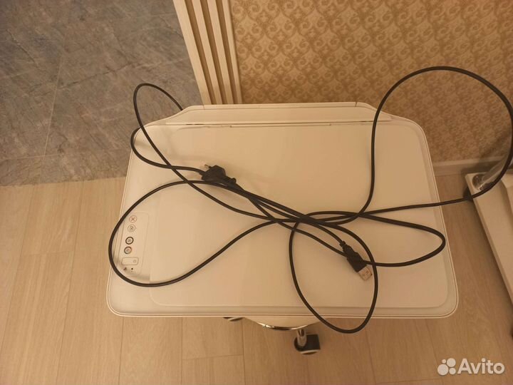 Сканер принтер копирование hp