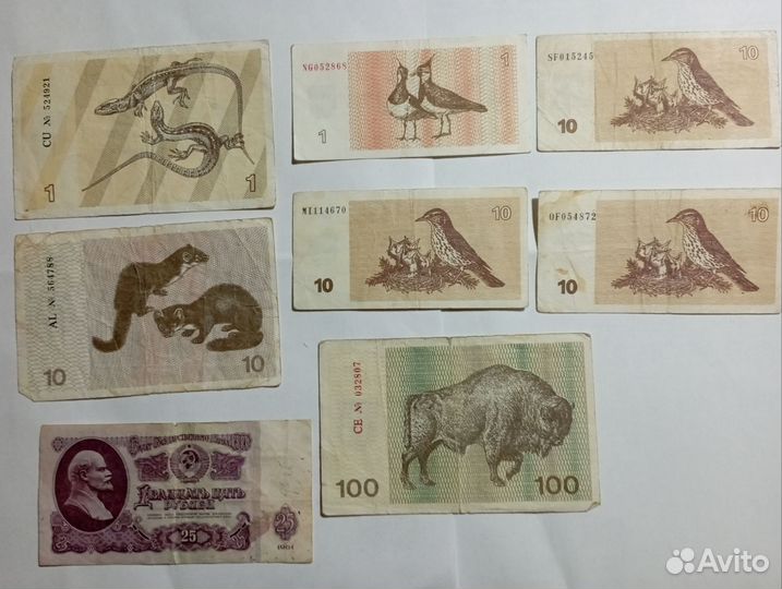 Банкноты литвы