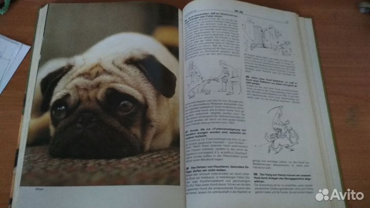 Mein Hund Книга воспитании и уходе за собакой