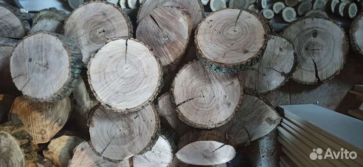 Спилы Ясеня