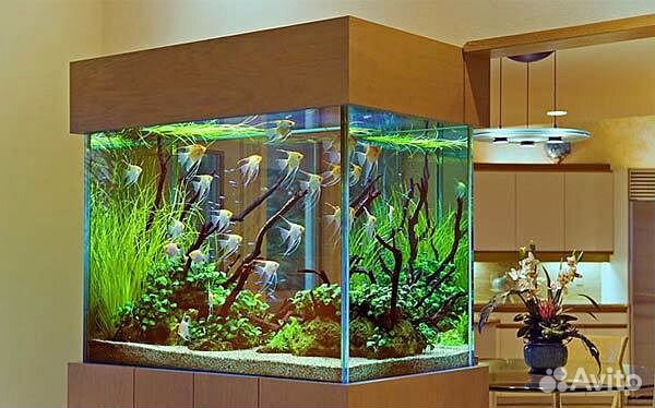 Обслуживание аквариумов