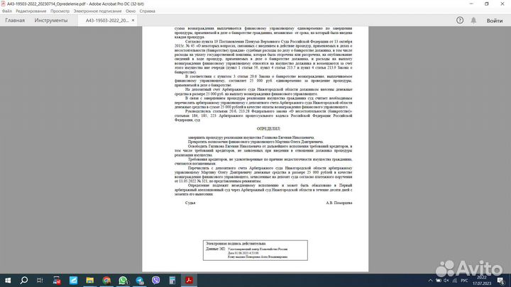 Банкротство физических лиц, Финансовый управляющий