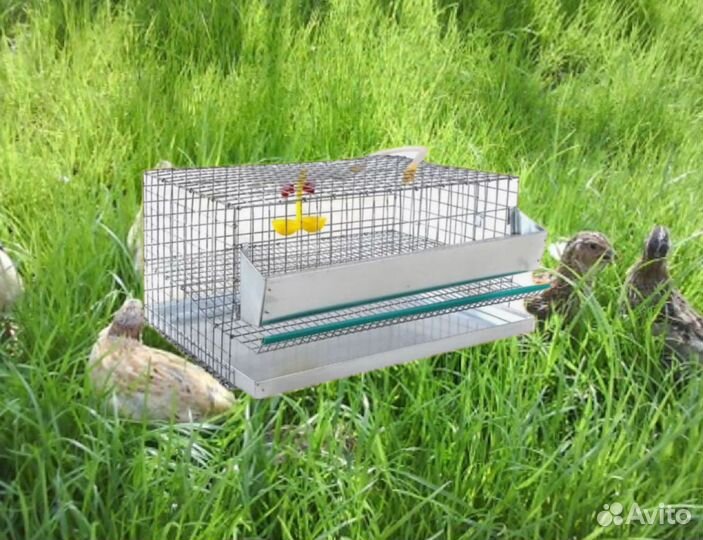 Клетки для перепелов, полный комплект