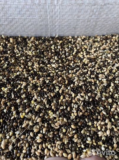 Отходы просо