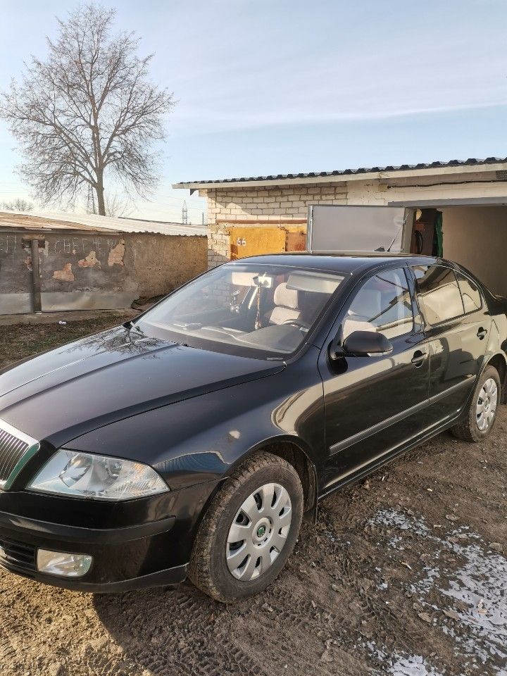 Skoda Octavia: фото владельца