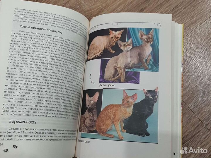 Книга Н.Непомнящий Кошка в доме