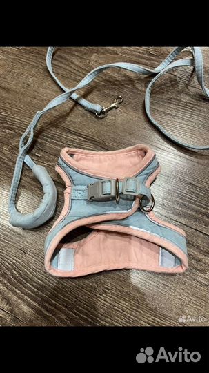 Шлейка для маленькой собаки