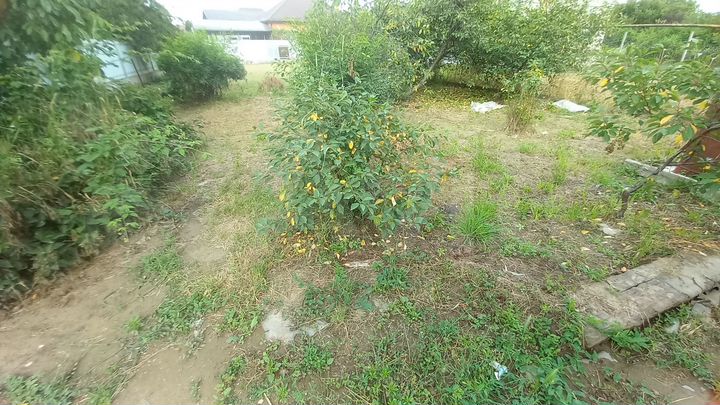 Дом 70 м² на участке 6 сот.