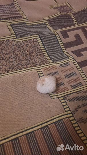 Возможно окоменевшая ракушка которой много лет