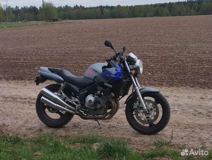Yamaha fzx 250 zeal
