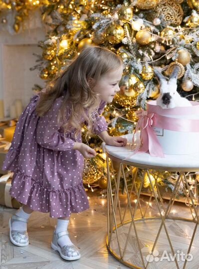 Аренда кроликов