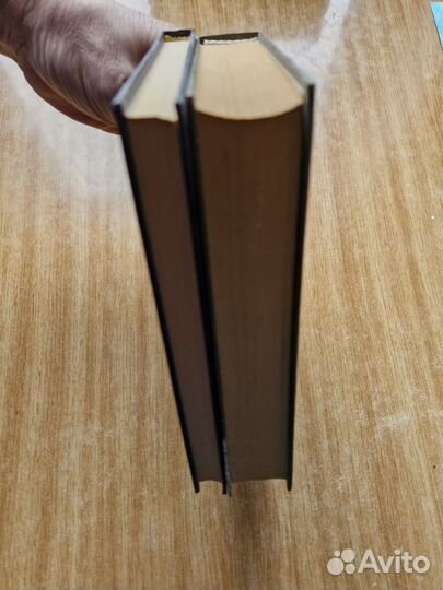 Две книги Льва Гумилева одним лотом