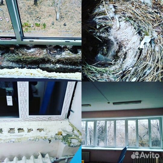 Ремонт окон и дверей пвх + установка окон