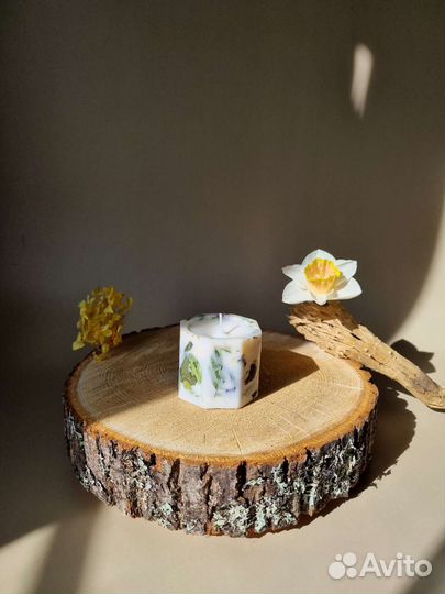 Свеча ботаническая