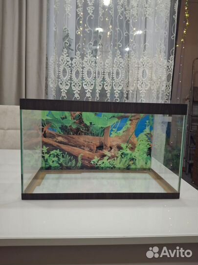 Аквариум
