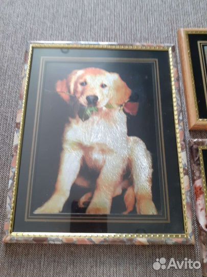 Картины шелкография