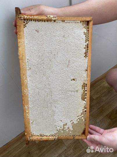 Мед из Нальчика