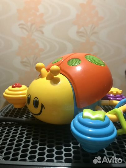 Божья коровка