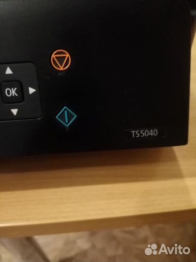Мфу Canon TS5040