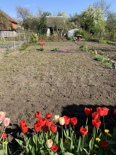 Дача 25 м² на участке 4,2 сот.