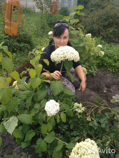 Массовый пошив одежды, пошив и ремонт одежды