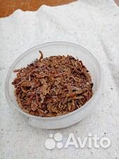 Прополис пчелиный