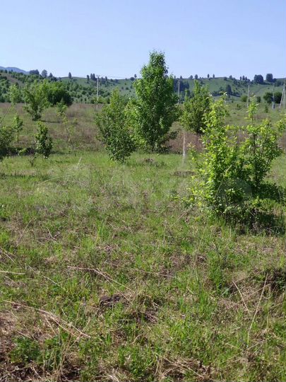 Участок 10 сот. (СНТ, ДНП)