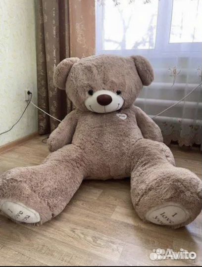 Плюшевый медведь