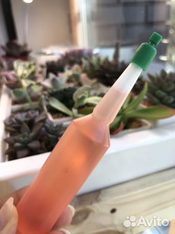 Японское удобрение Для суккулентов и кактусов