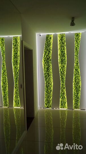 Панели из стабилизированного мха